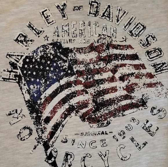 Harley-Davidson Men's XL T-Shirt Gray - Picture 2 of 10
